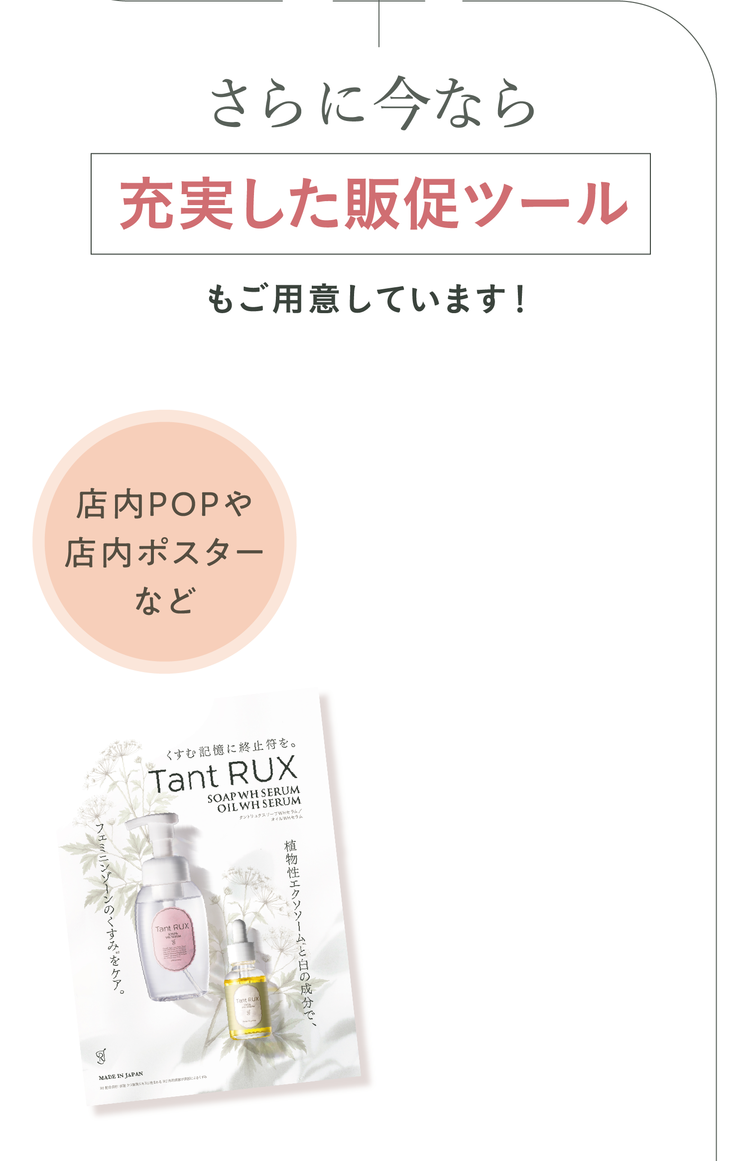 さらに今なら充実した販促ツールもご用意しています！
